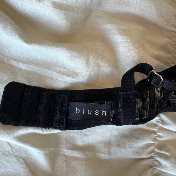 Blush Desire Bra - Picture 7 of 7